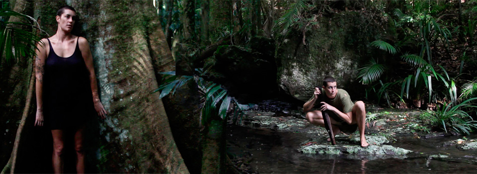 jessie-rainforest